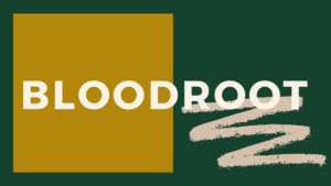 Presenting the Title of Issue Four: Bloodroot