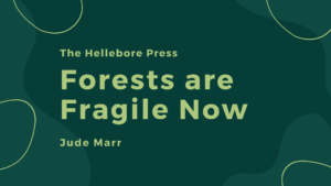 Forests are Fragile Now