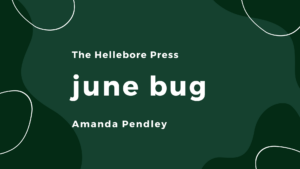 june bug