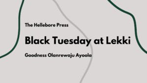 Black Tuesday at Lekki