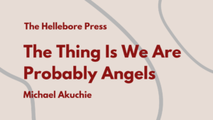 The Thing Is We Are Probably Angels